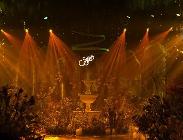 GEM CENTER – SECRET FOREST